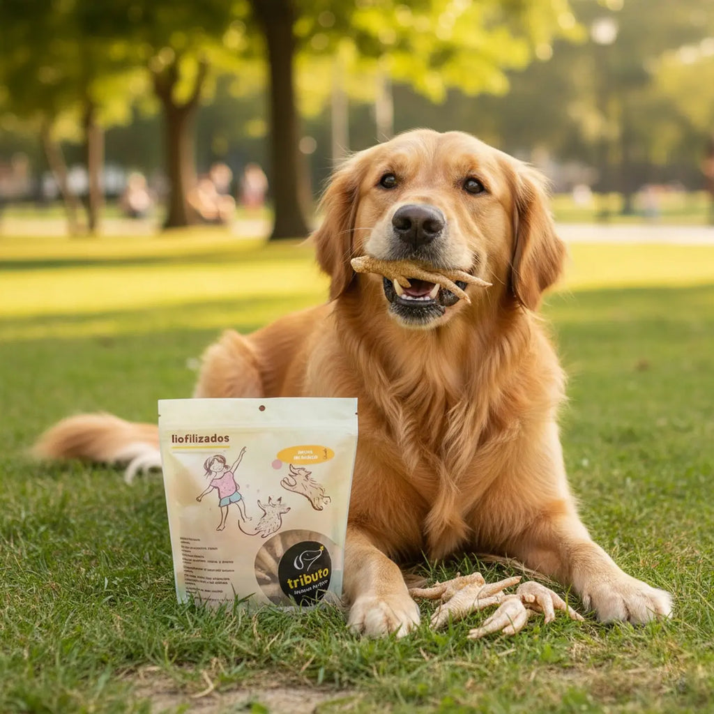 Snack Premium Tributo Patas de Pollo 100gr