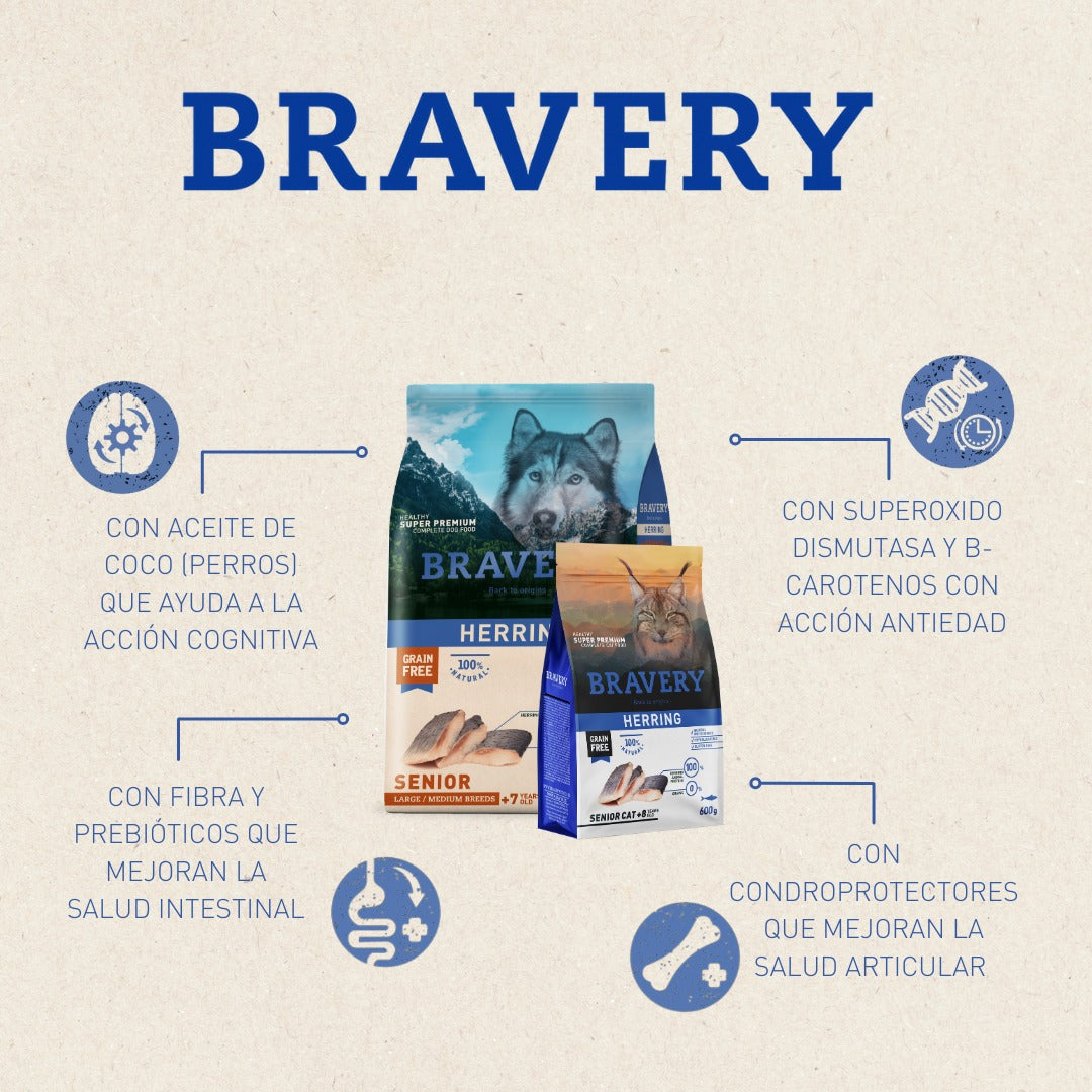 Bravery Arenque Gato Adulto