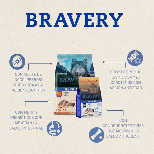 Bravery Arenque Gato Adulto
