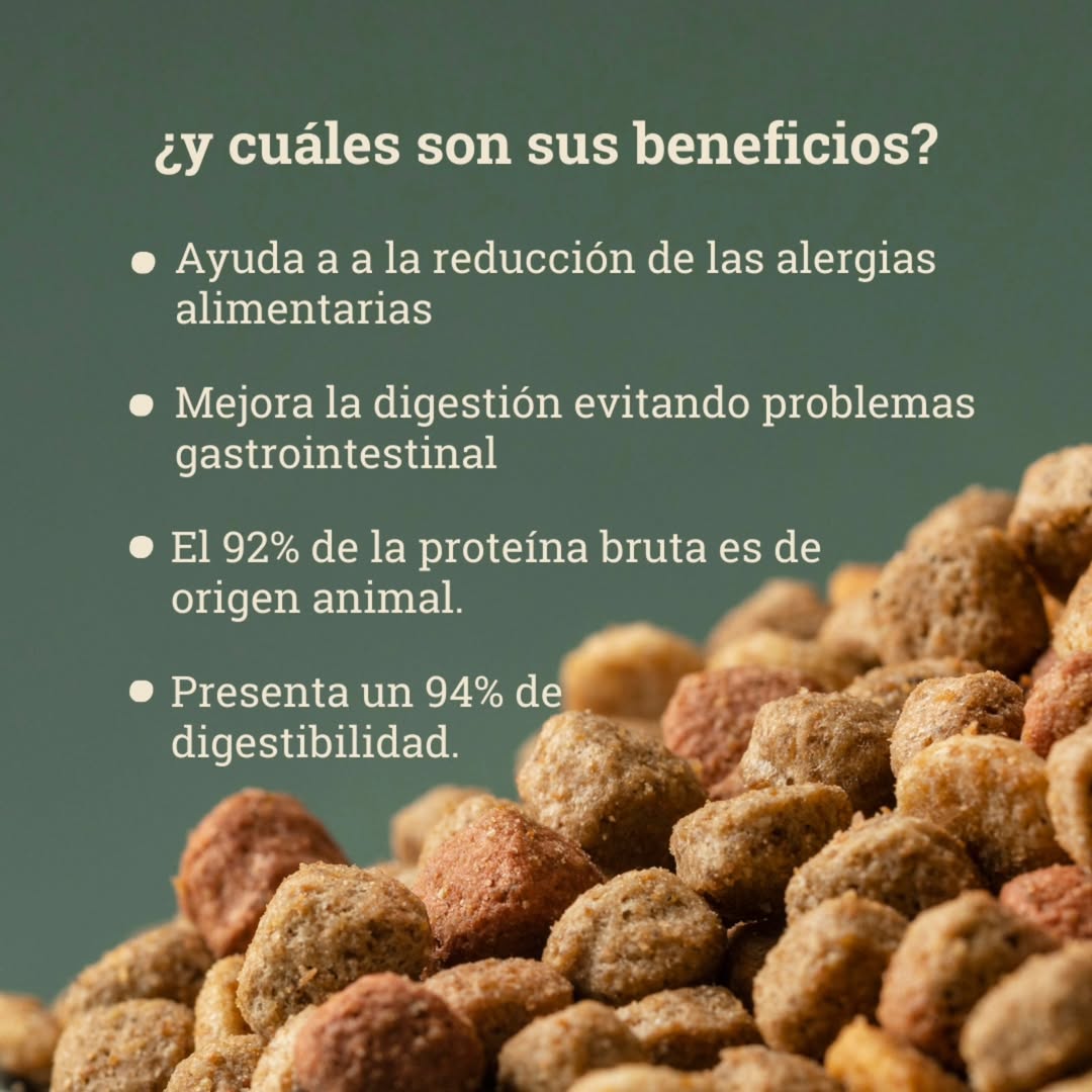 Bravery Arenque Gato Adulto