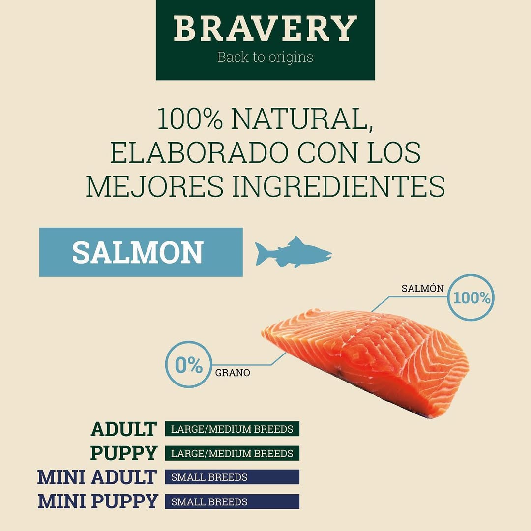 Bravery Salmón Gato Adulto