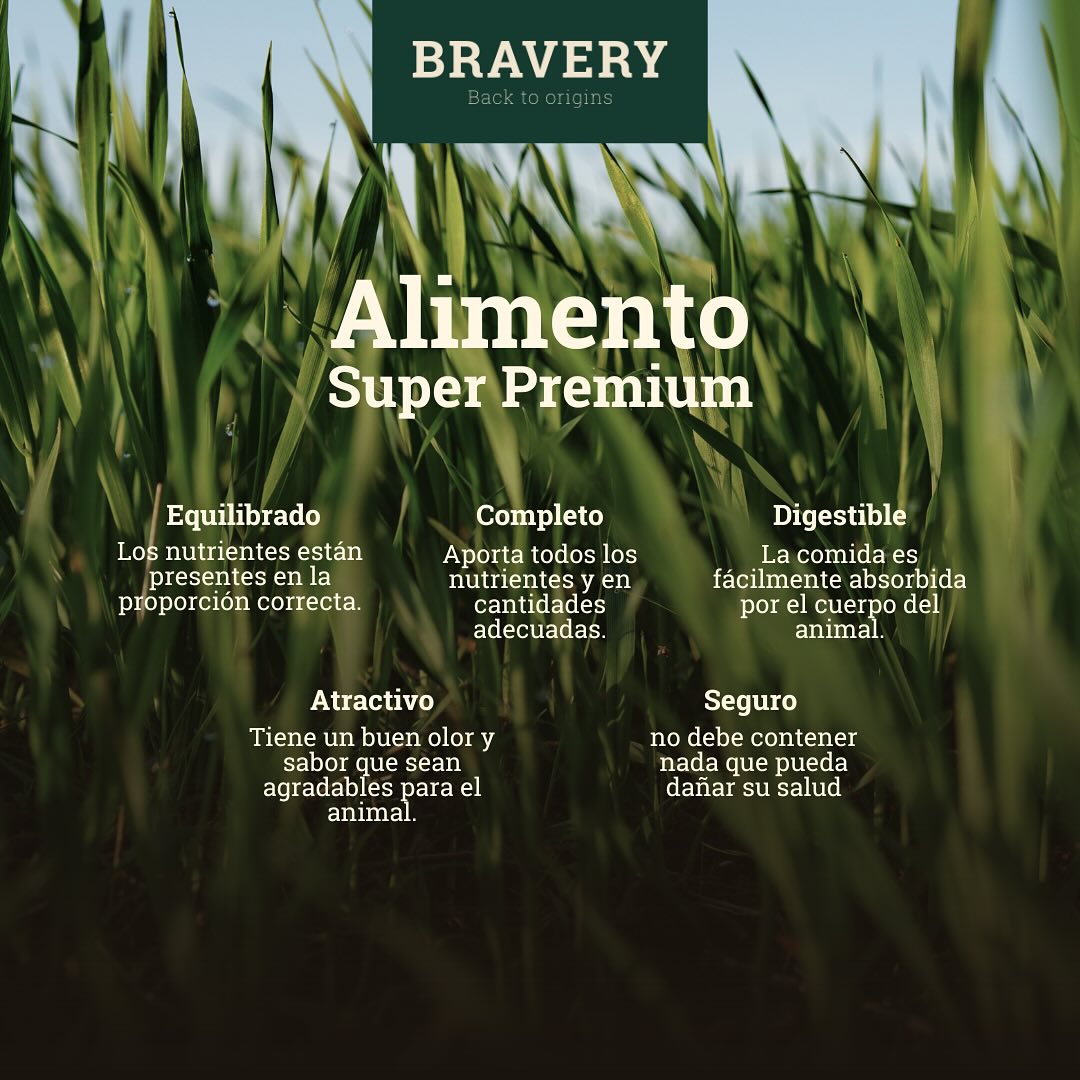 Bravery Arenque Gato Adulto