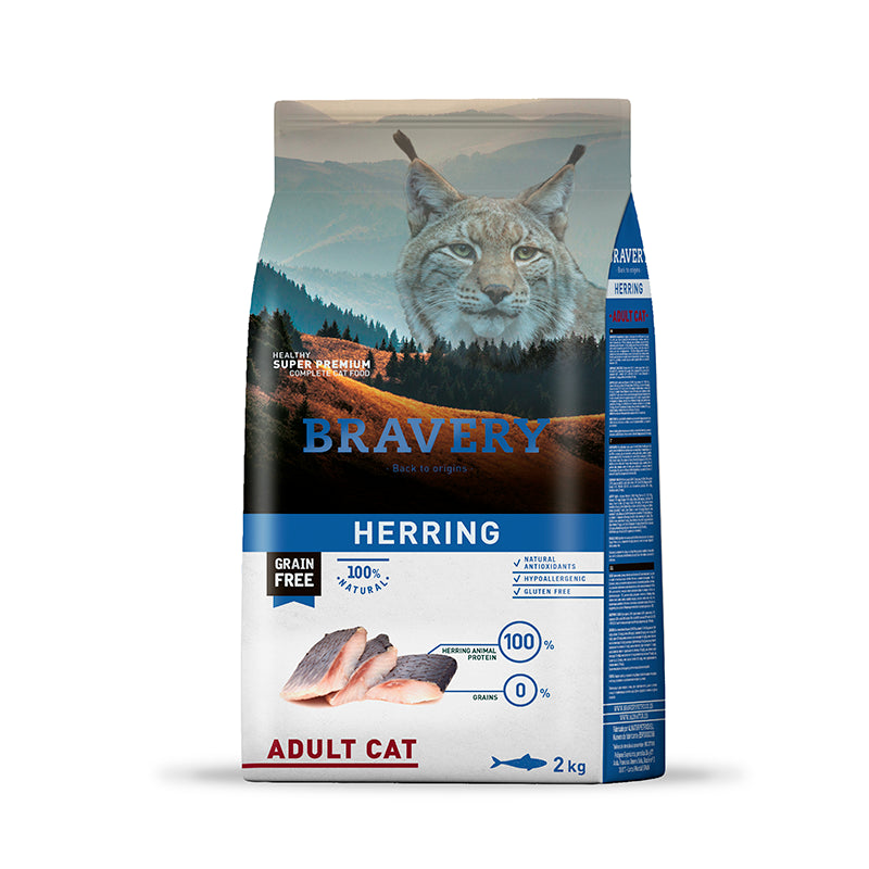 Bravery Arenque Gato Adulto