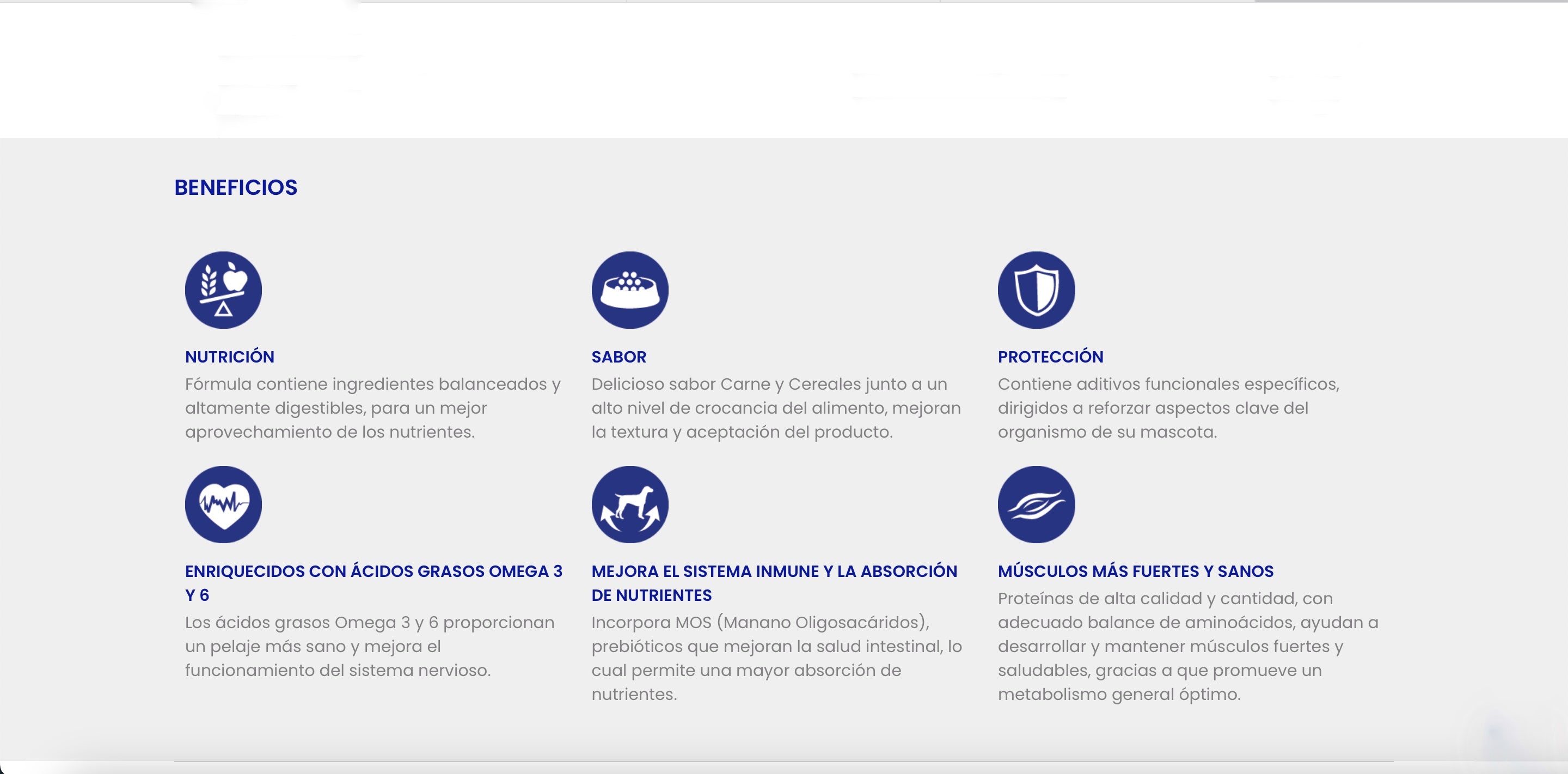 Masko Adulto Raza grande 25 Kg